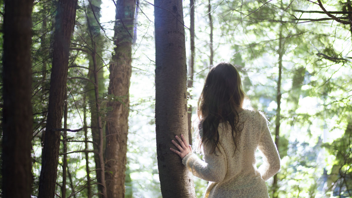 火の用心と 地域包括ケア Transsages